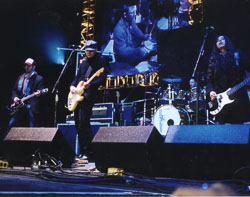zwan.jpg