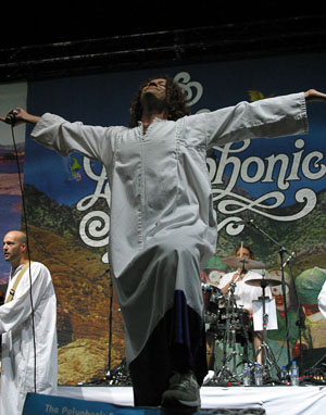 MC004_spree.JPG MC004_spree_v1.jpg