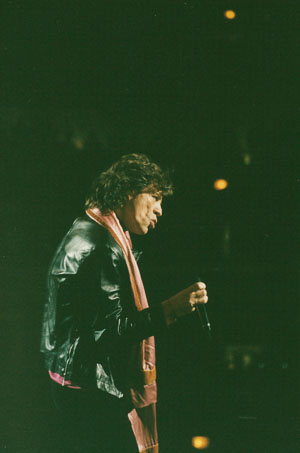 The Rolling Stones The Rolling Stones