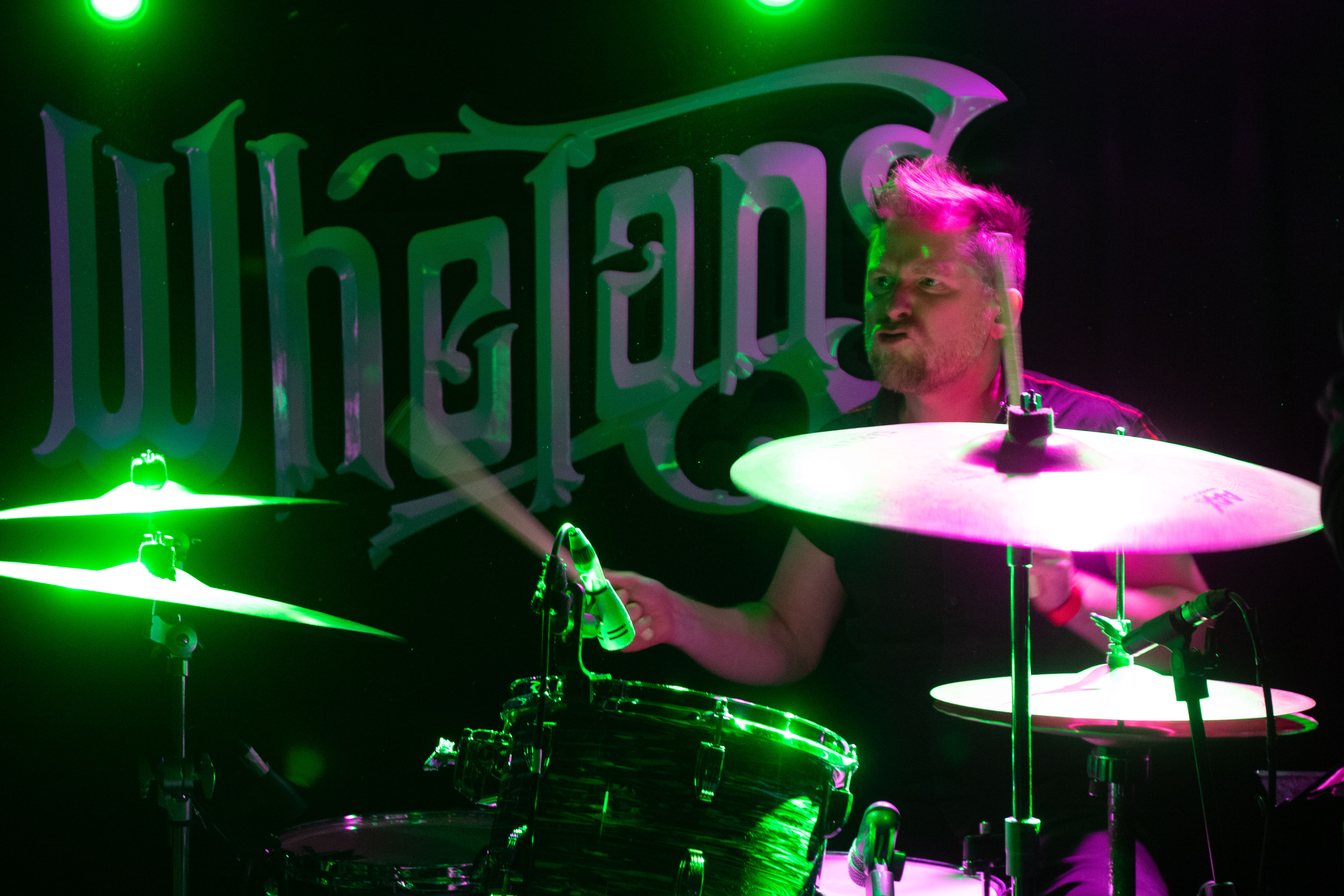 _MG_9803.jpg _MG_9803.jpg