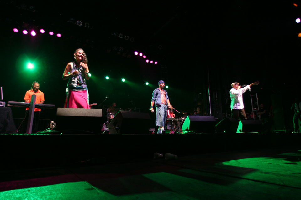 53259152MC0118_lolla1.jpg
