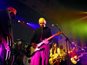 Zwan Zwan