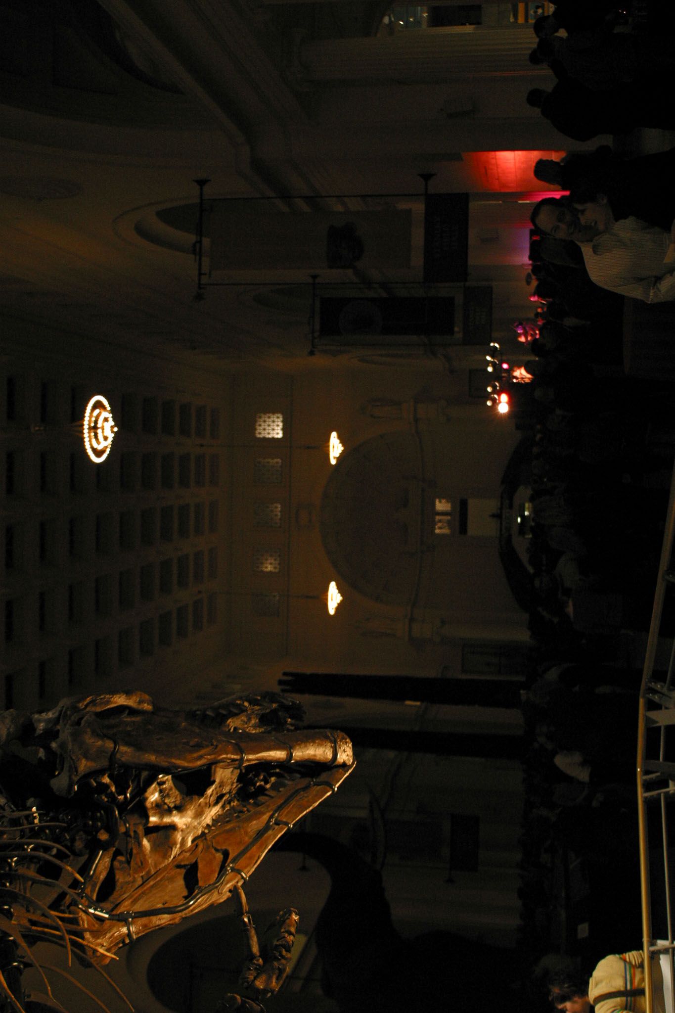MC004_poifield.jpg