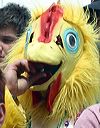 chicken